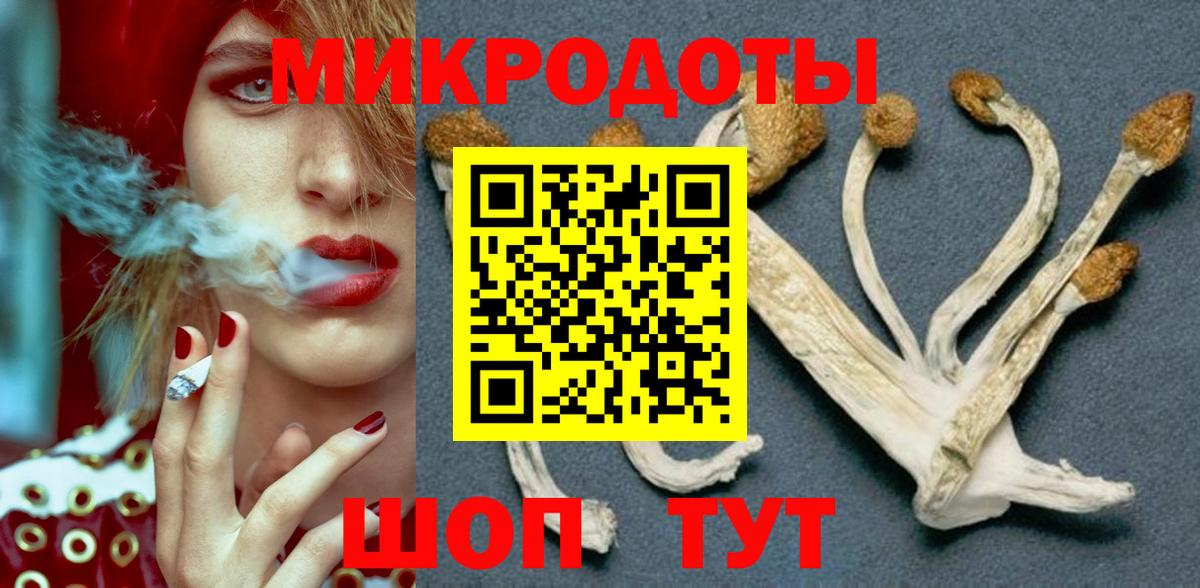 Псилоцибиновые грибы Psilocybine cubensis Клинцы