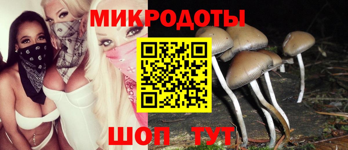 Клинцы  Галлюциногенные грибы мицелий  Вход с VPN 